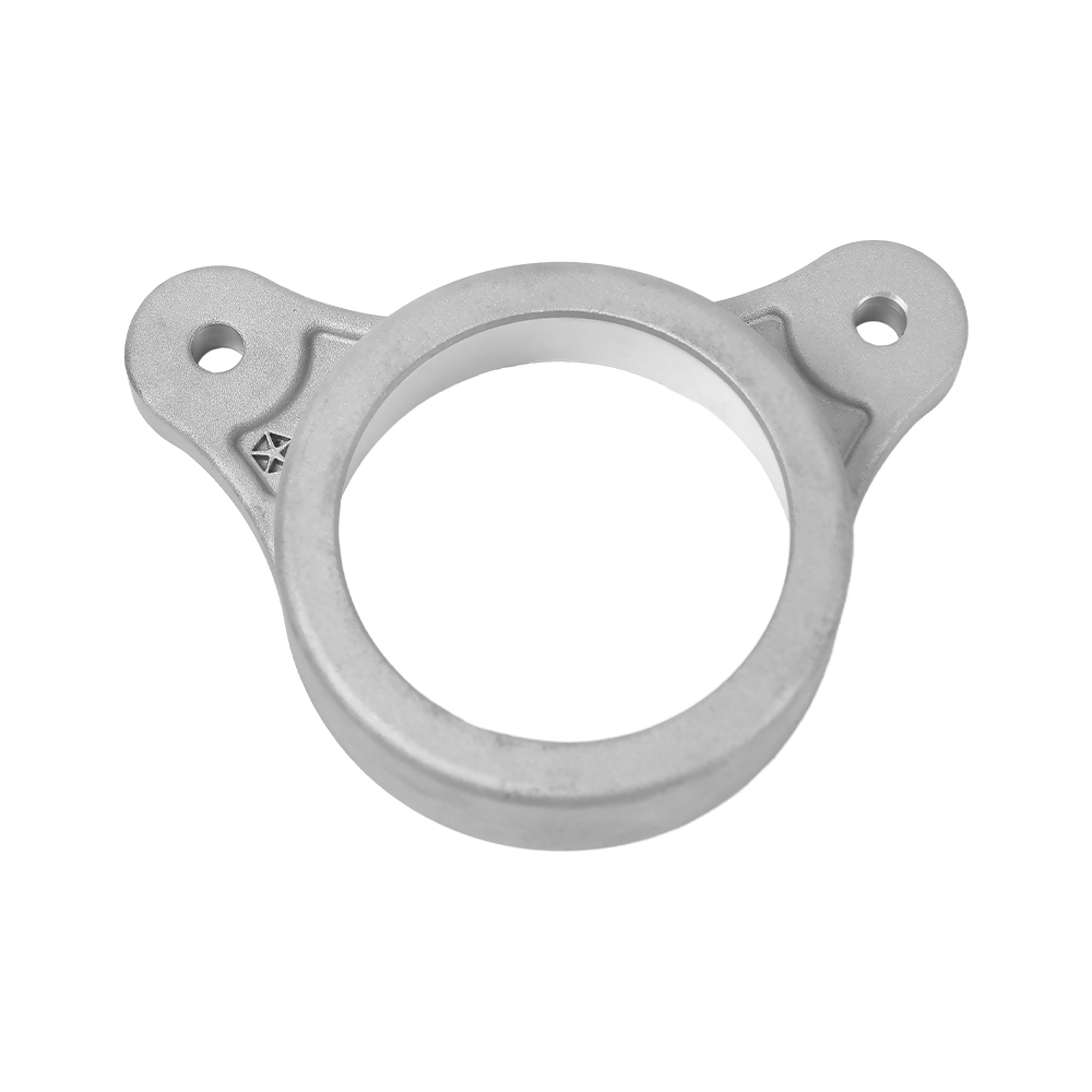 Aluminum Auto Bearing Bracket